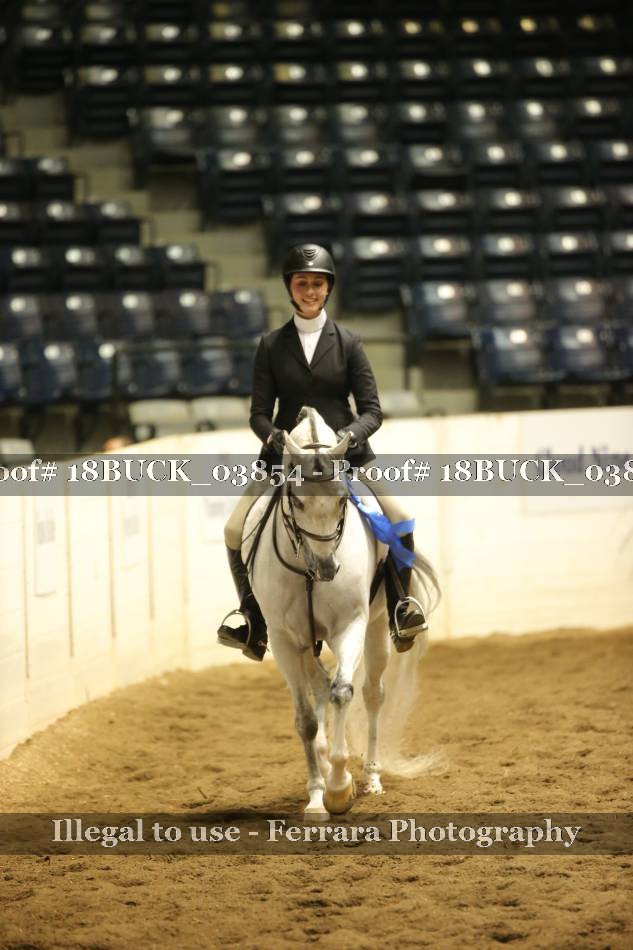 Proof 18BUCK_03854