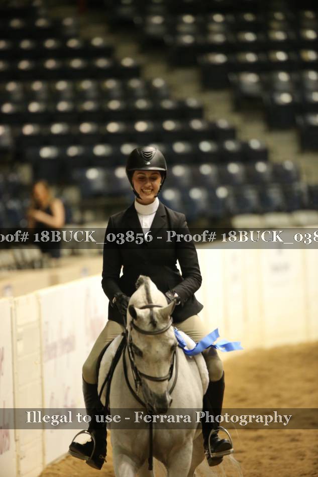 Proof 18BUCK_03856