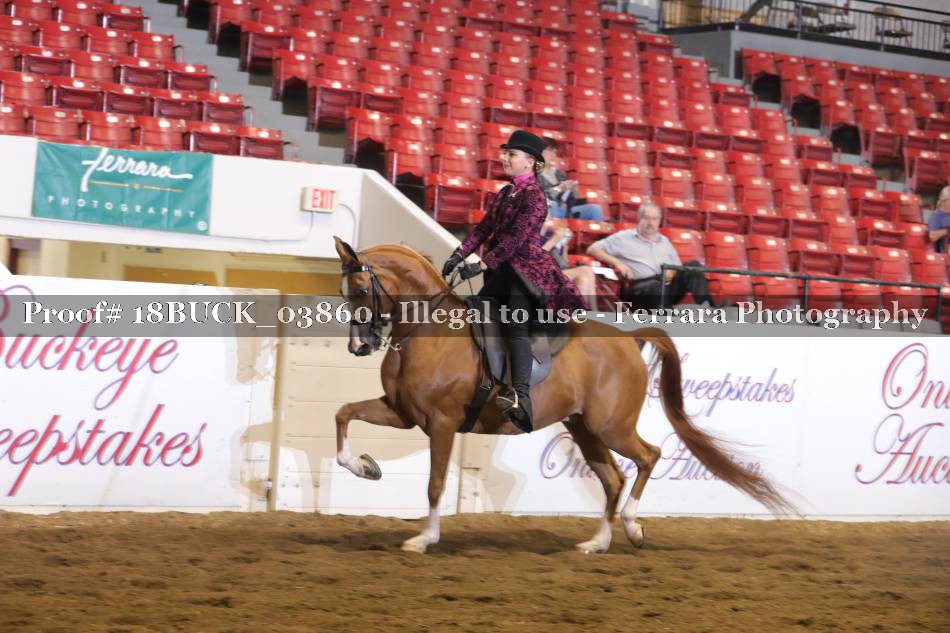 Proof 18BUCK_03860