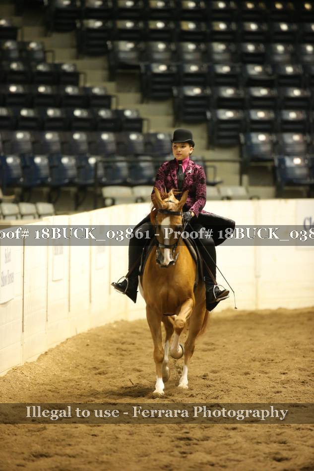 Proof 18BUCK_03861
