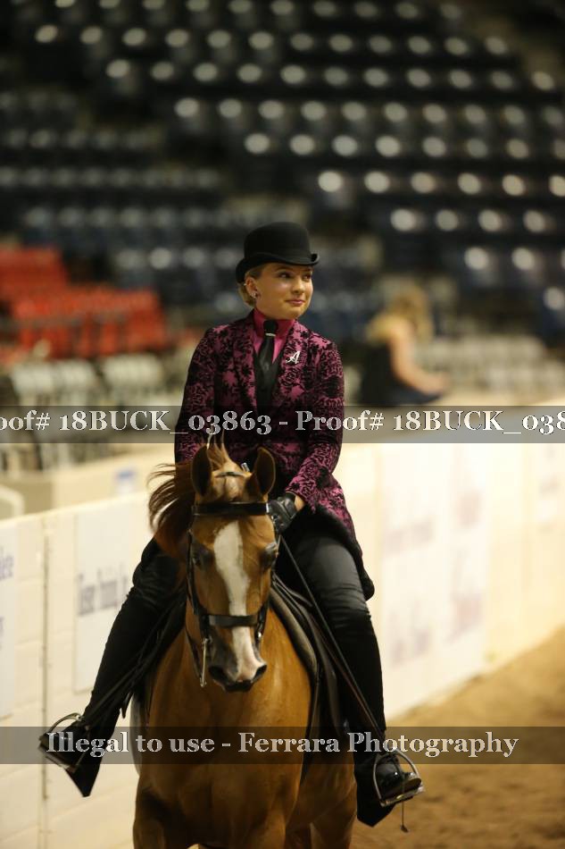 Proof 18BUCK_03863