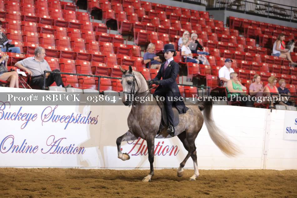 Proof 18BUCK_03864