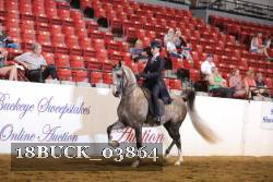 18BUCK_03864 proof