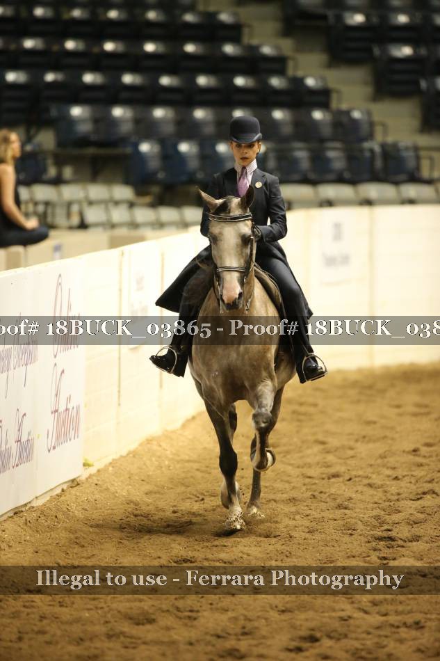 Proof 18BUCK_03865