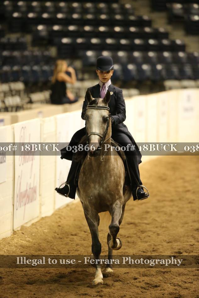 Proof 18BUCK_03866