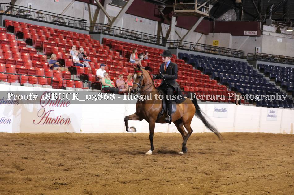 Proof 18BUCK_03868
