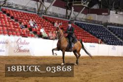 18BUCK_03868 proof