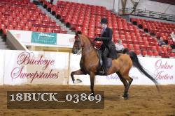 18BUCK_03869 proof
