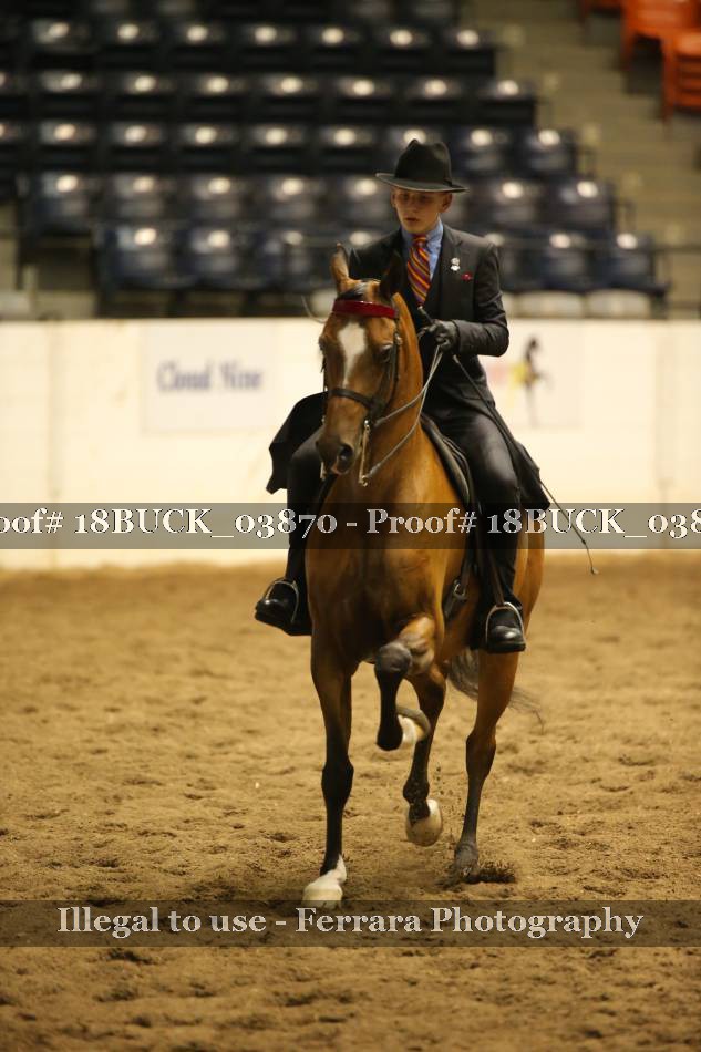 Proof 18BUCK_03870