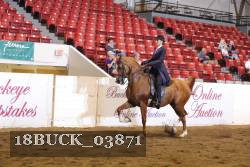 18BUCK_03871 proof