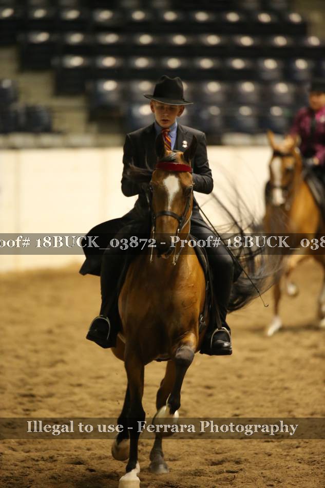 Proof 18BUCK_03872