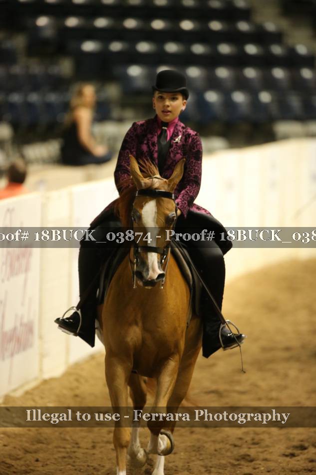 Proof 18BUCK_03874