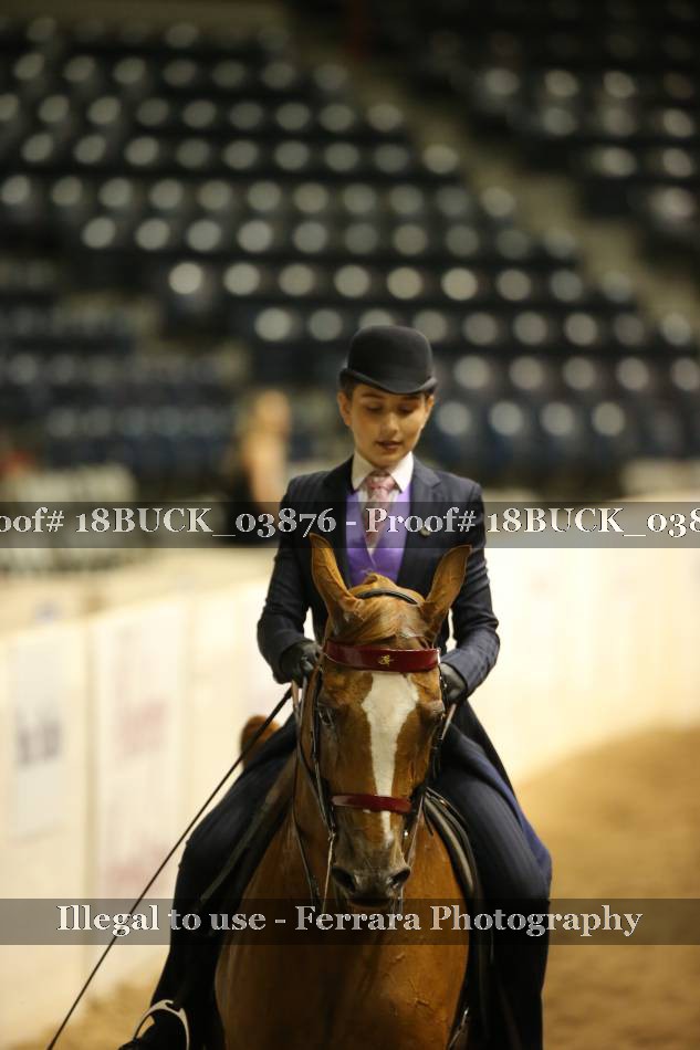Proof 18BUCK_03876