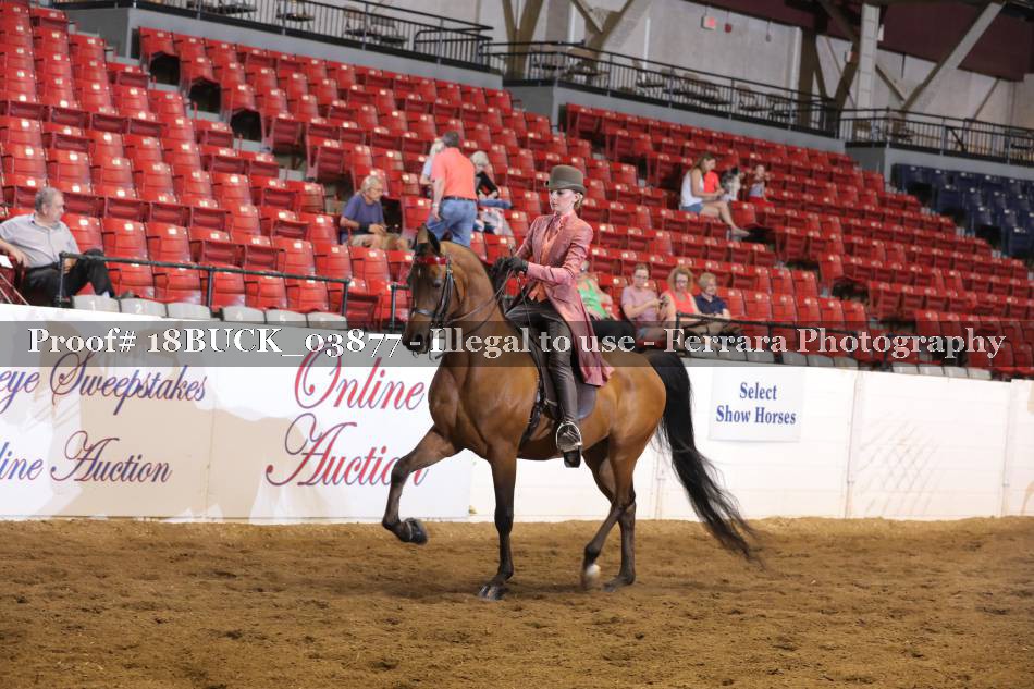 Proof 18BUCK_03877