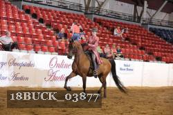 18BUCK_03877 proof