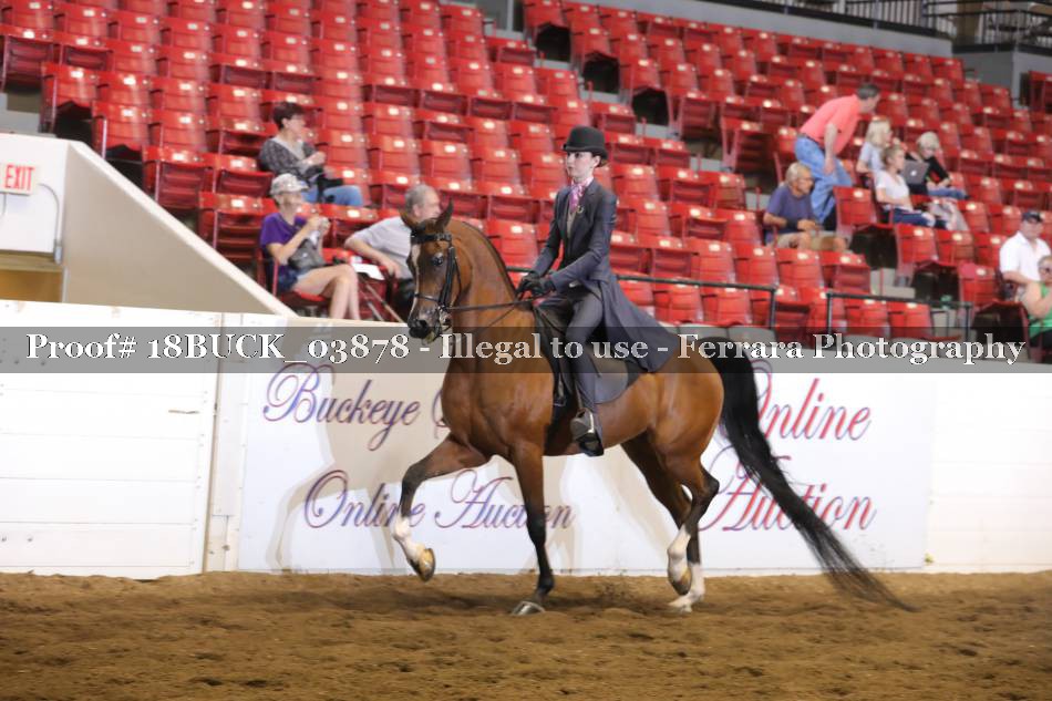 Proof 18BUCK_03878
