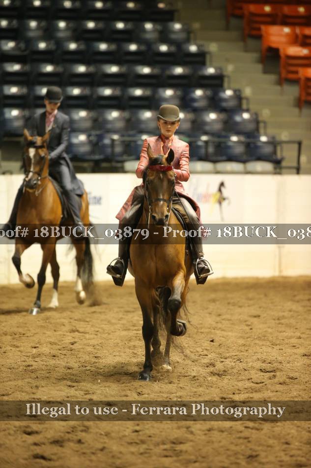 Proof 18BUCK_03879