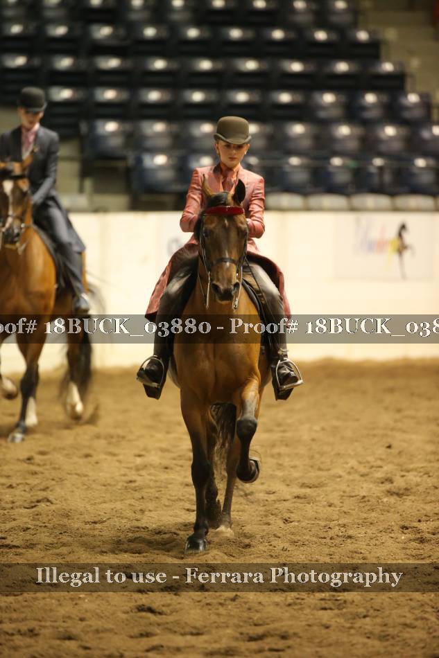 Proof 18BUCK_03880