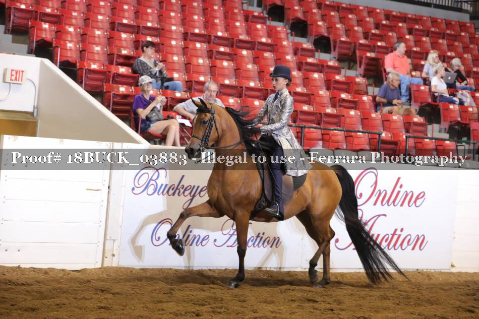 Proof 18BUCK_03883
