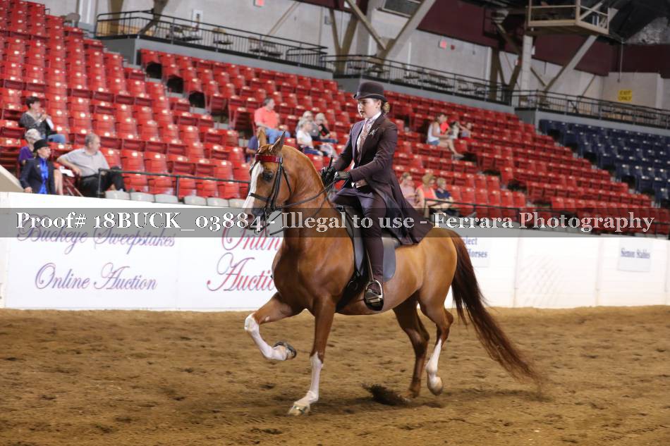 Proof 18BUCK_03884