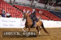 18BUCK_03884 proof