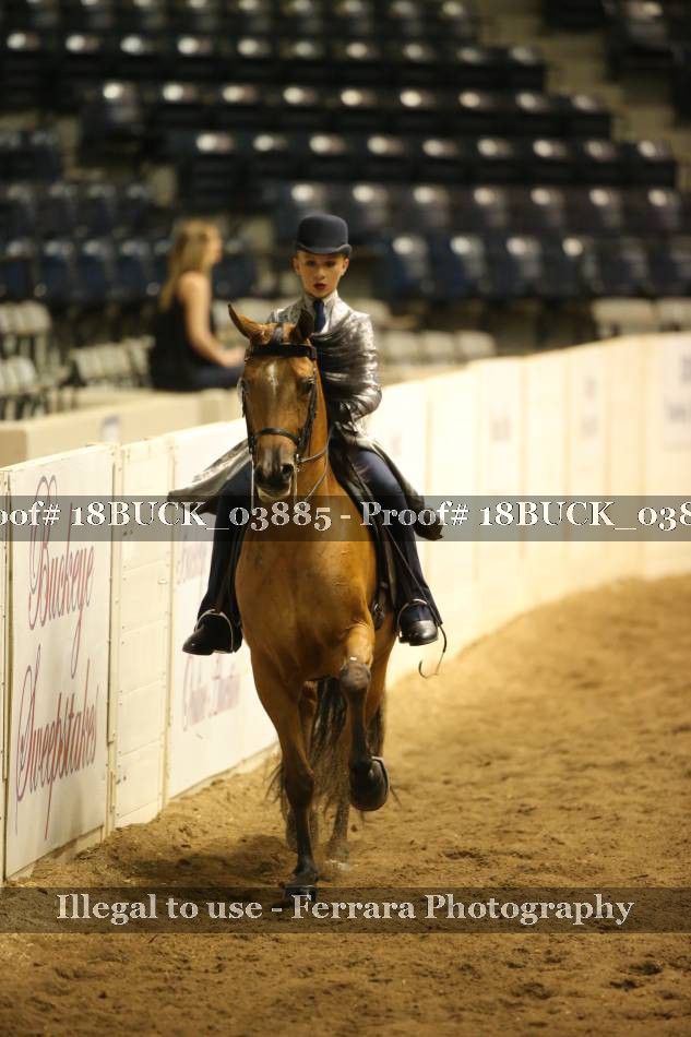 Proof 18BUCK_03885