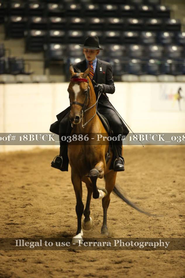 Proof 18BUCK_03886