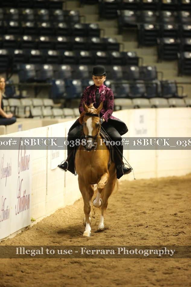 Proof 18BUCK_03887