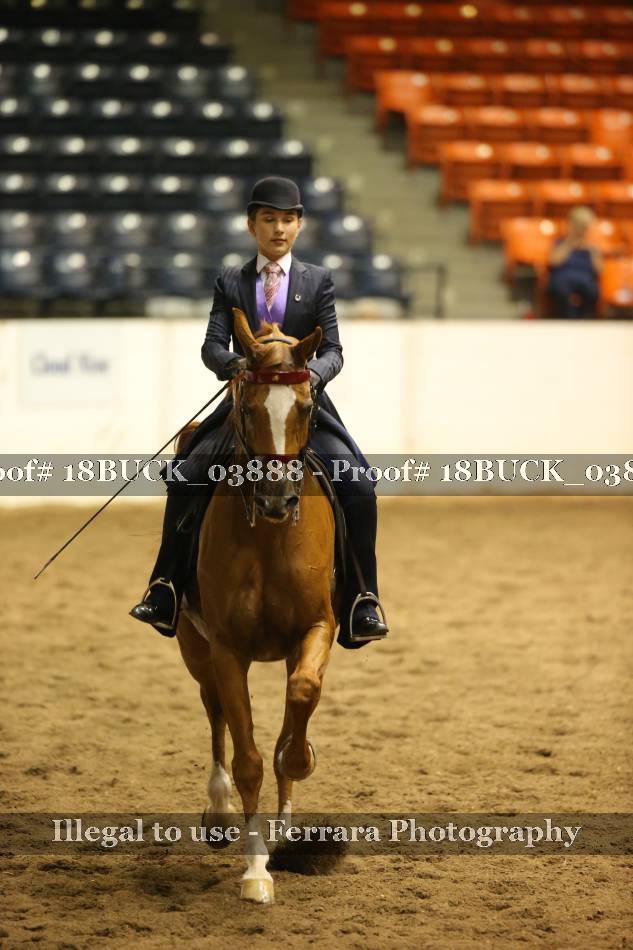 Proof 18BUCK_03888