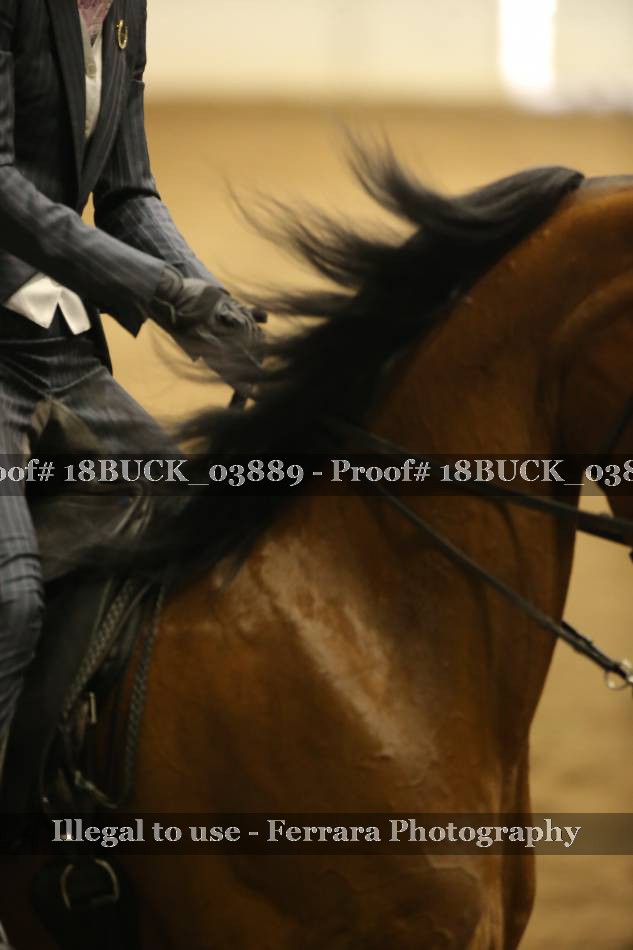 Proof 18BUCK_03889