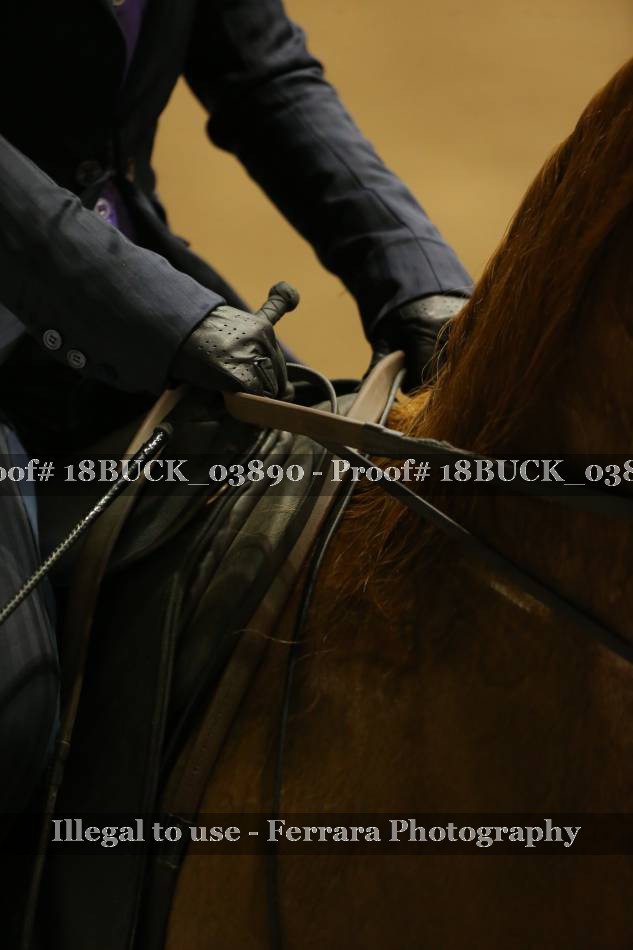 Proof 18BUCK_03890