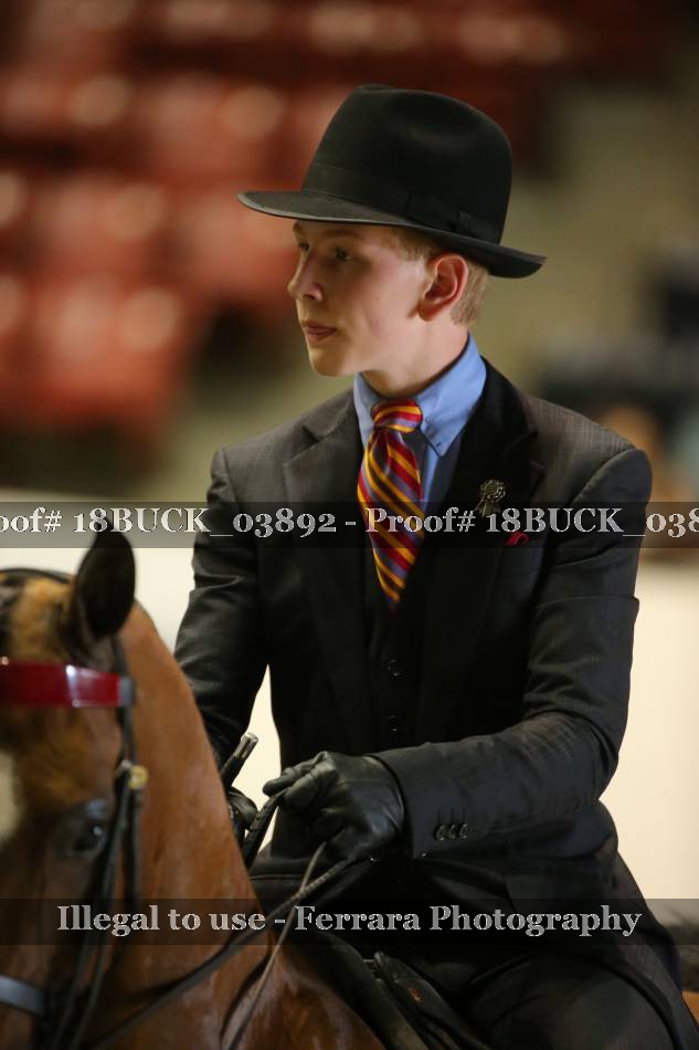Proof 18BUCK_03892