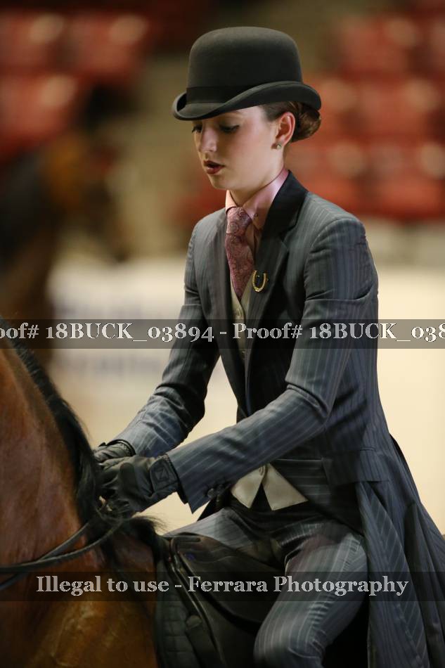 Proof 18BUCK_03894