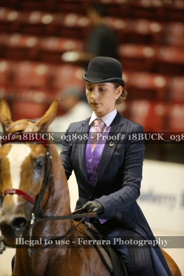 Proof 18BUCK_03898