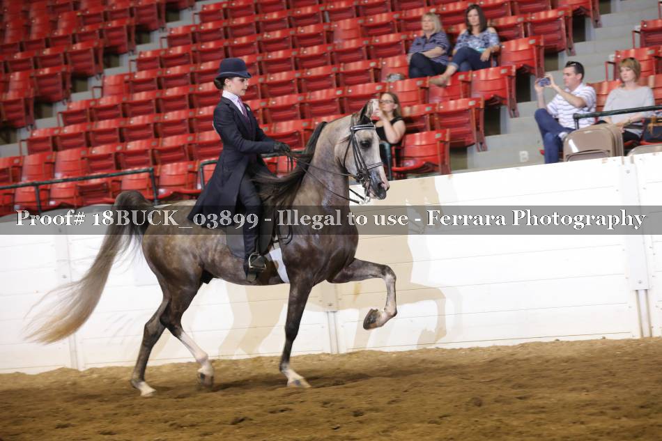Proof 18BUCK_03899