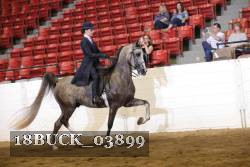 18BUCK_03899 proof