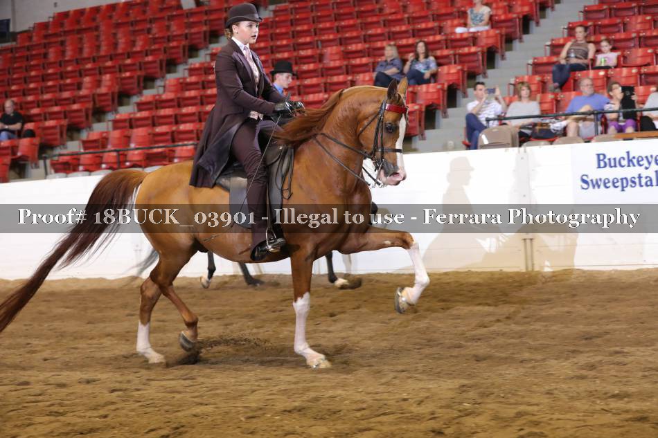 Proof 18BUCK_03901