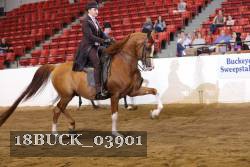 18BUCK_03901 proof