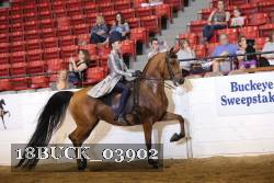 18BUCK_03902 proof