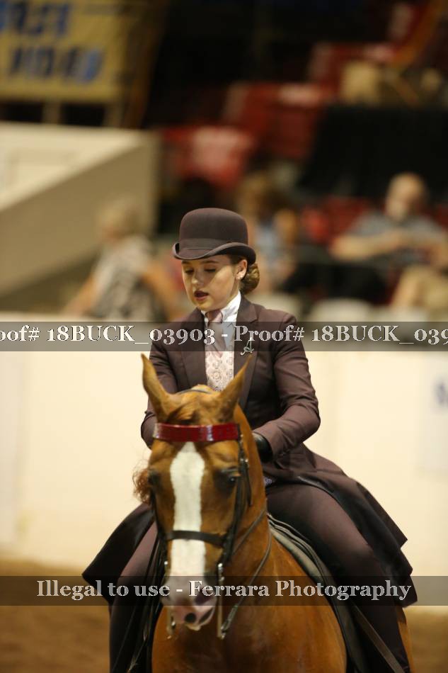Proof 18BUCK_03903