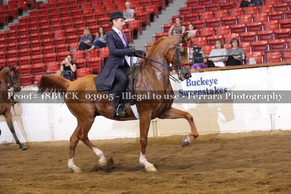 Proof 18BUCK_03905