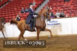 18BUCK_03905 proof