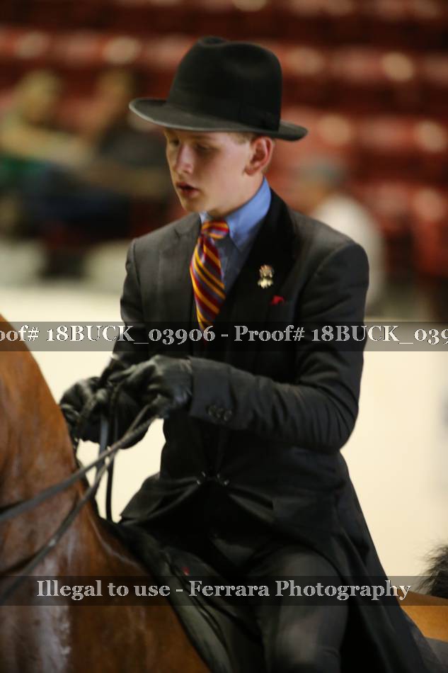 Proof 18BUCK_03906
