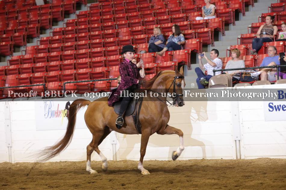 Proof 18BUCK_03907