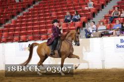 18BUCK_03907 proof