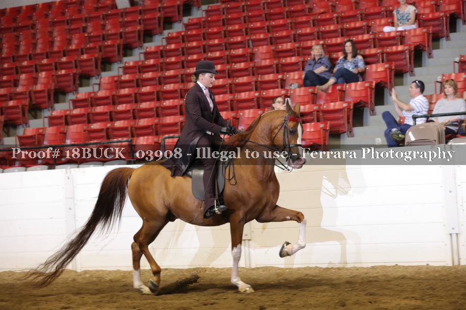 Proof 18BUCK_03908