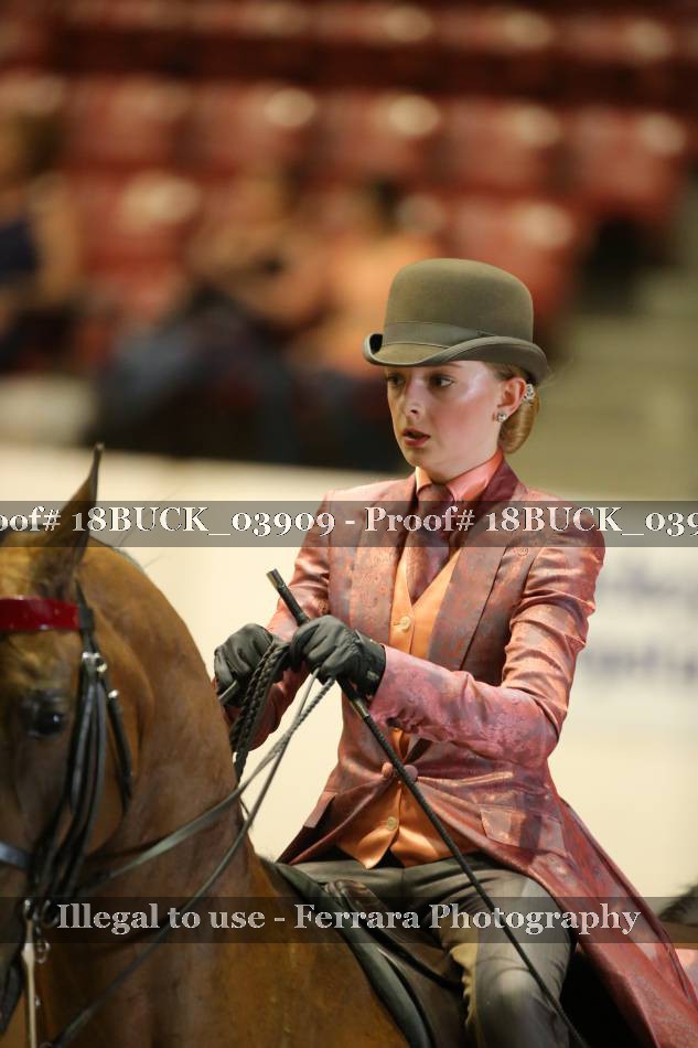 Proof 18BUCK_03909