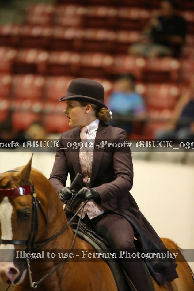 Proof 18BUCK_03912