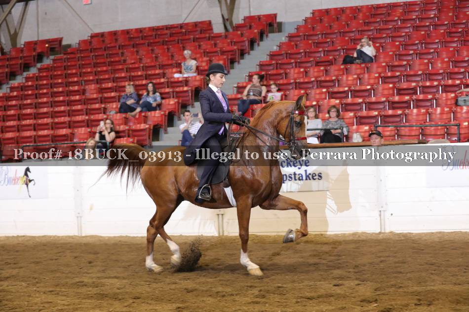 Proof 18BUCK_03913