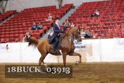 18BUCK_03913 proof